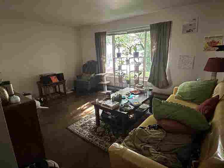 Looking for roommate!