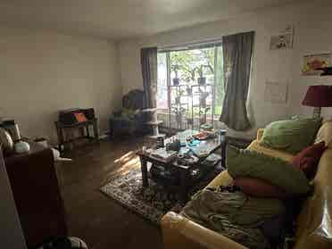 Looking for roommate!