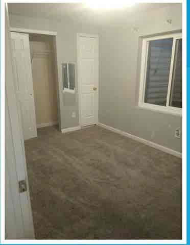 Looking for a female roommate!