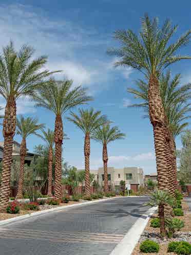 Red Rock Canyon Summerlin