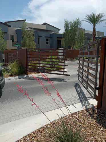 Red Rock Canyon Summerlin