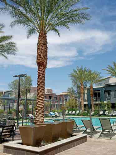 Red Rock Canyon Summerlin