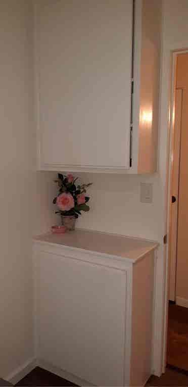 Looking for girl roommate in NoHo!
