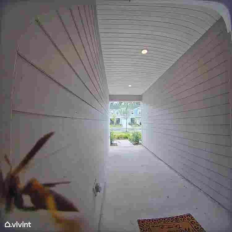 Move in Ready Room for rent