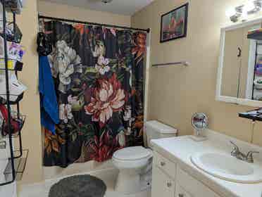 Room in peaceful duplex