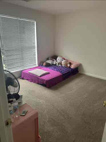 Lake Wylie Condo Roommate