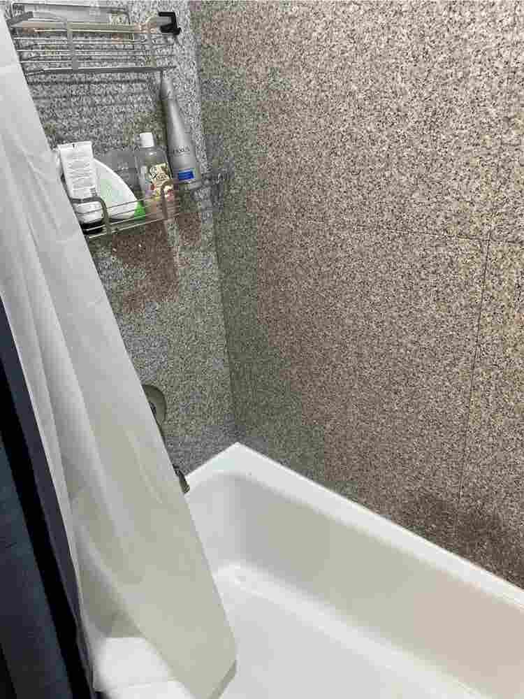 Private room near Shady Grove metro