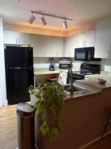 Noda apartment