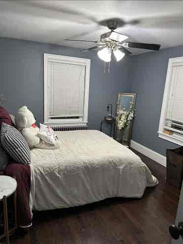 Housemate wanted, lgbt friendly
