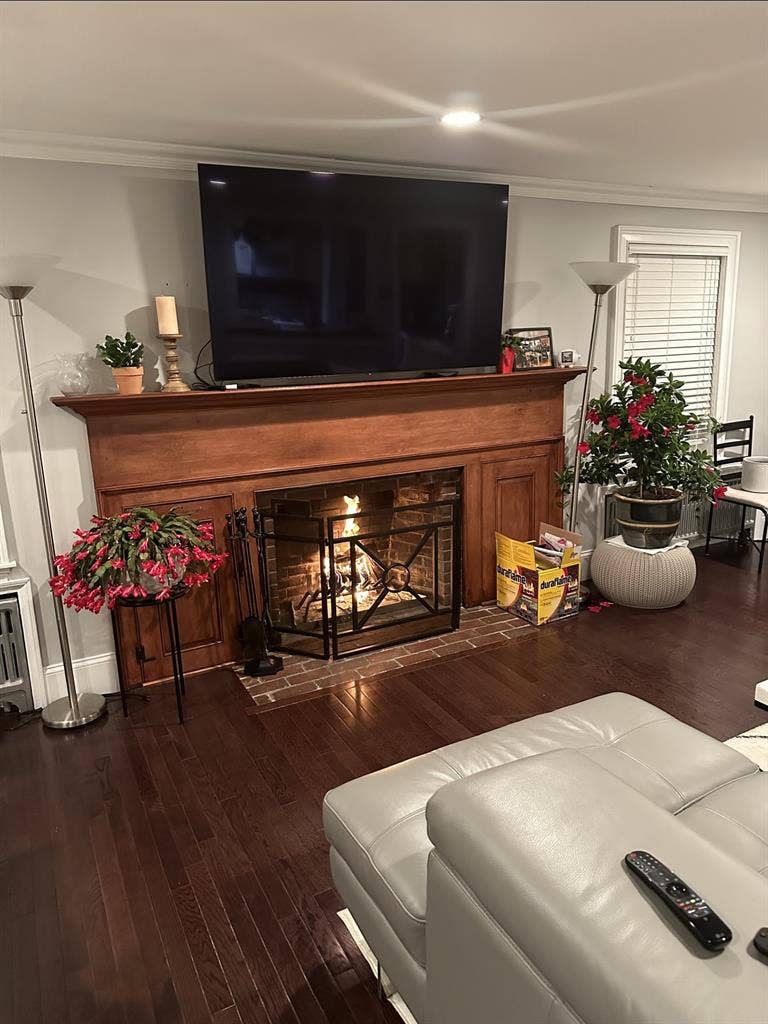 Housemate wanted, lgbt friendly
