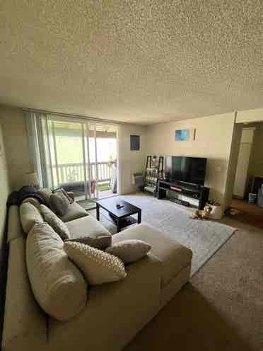 Private Master Bedroom Available