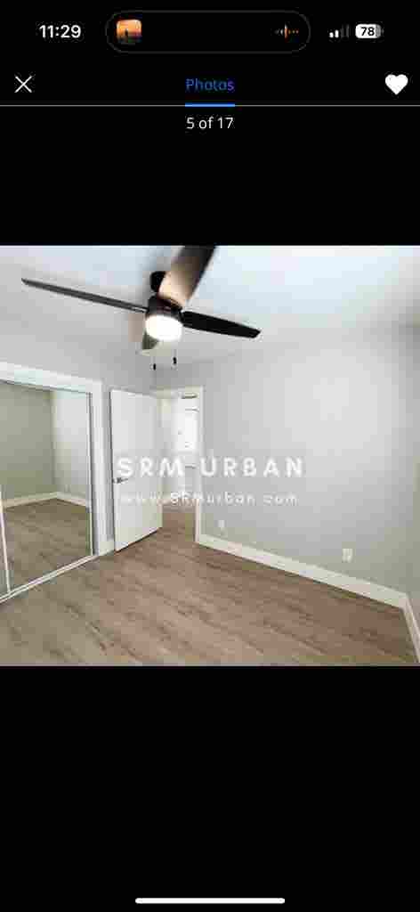 Room for rent in normal heights