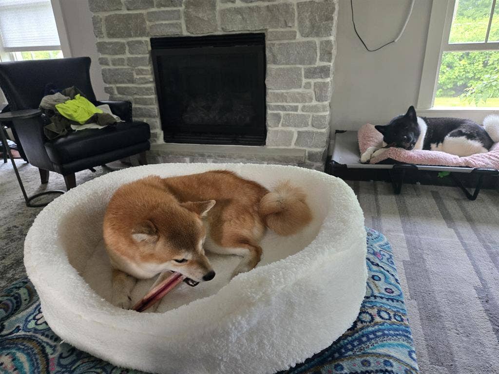bedroom for rent full house access