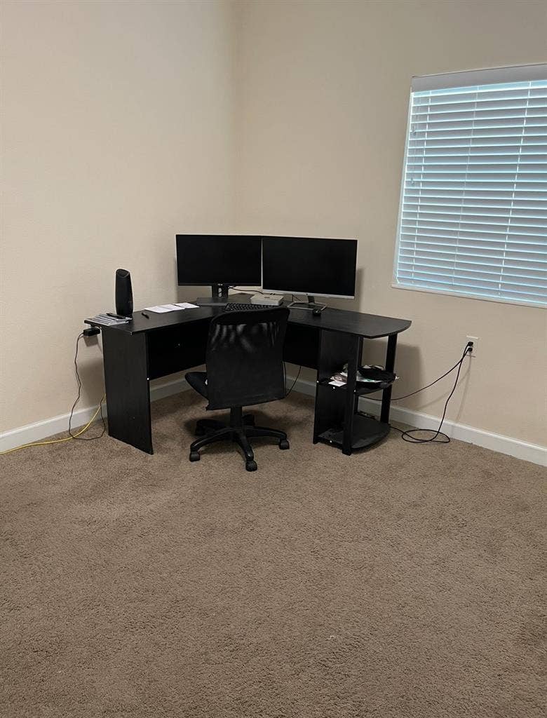Downtown Tampa Room For Rent