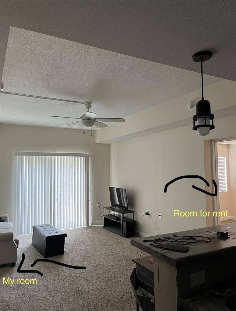 Downtown Tampa Room For Rent