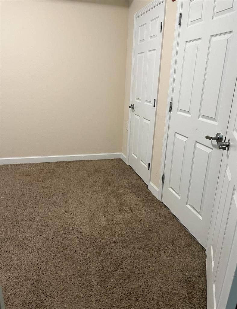 Downtown Tampa Room For Rent