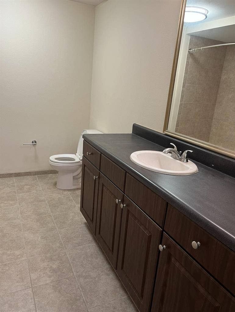 Downtown Tampa Room For Rent