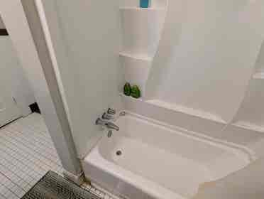 Savannah Room Available