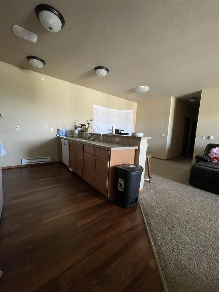 In search of two female roomates