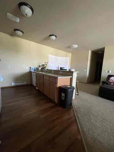 In search of  two female roomates