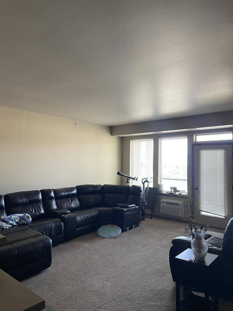 In search of two female roomates