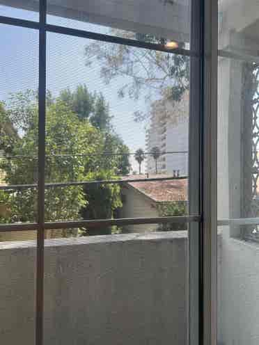 Private Room in Spacious Condo