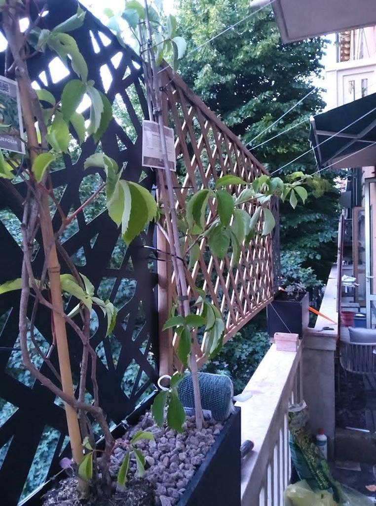 double room in shared apt on OFFER