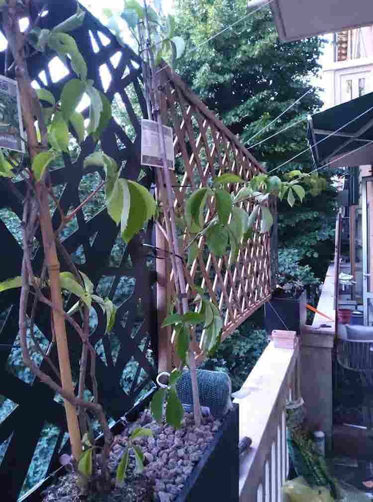 double room in shared apt on OFFER