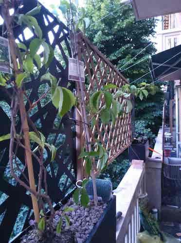 double room in shared apt on OFFER