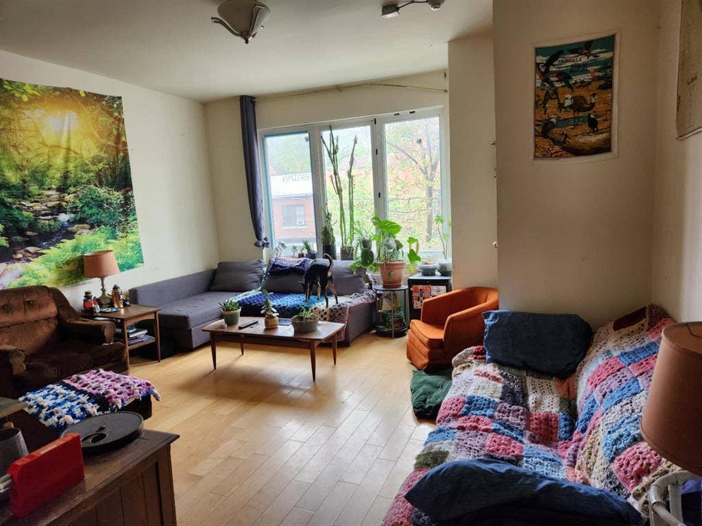 New Listing