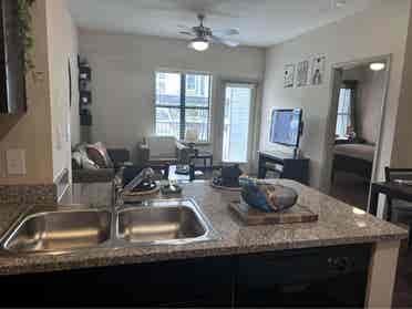 Apartment for relet at domain!!