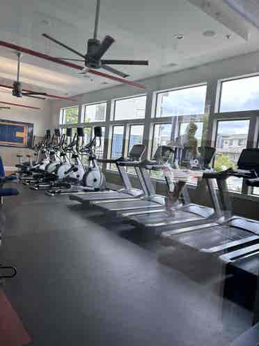 Apartment for relet at domain!!