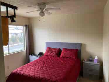 Roommate needed soon flexible lease