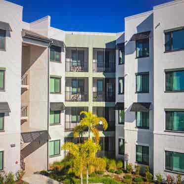 BrandNew Luxury Apartments palmetto