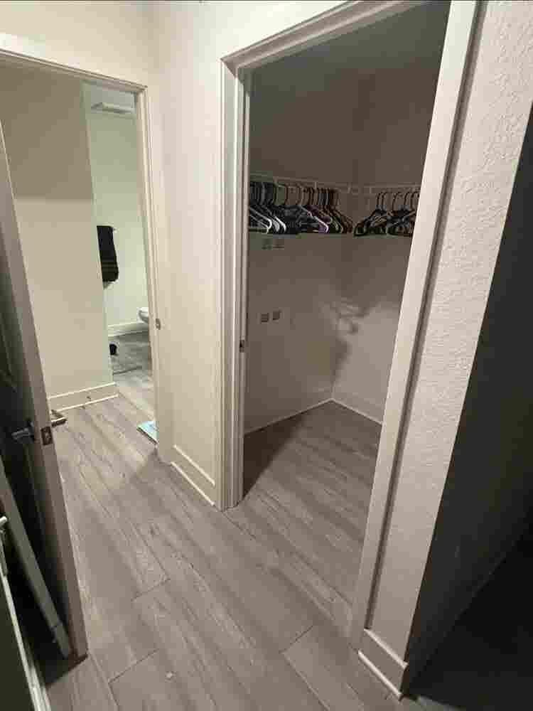 BrandNew Luxury Apartments pa
lmetto