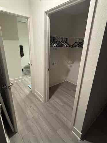 BrandNew Luxury Apartments pa
lmetto