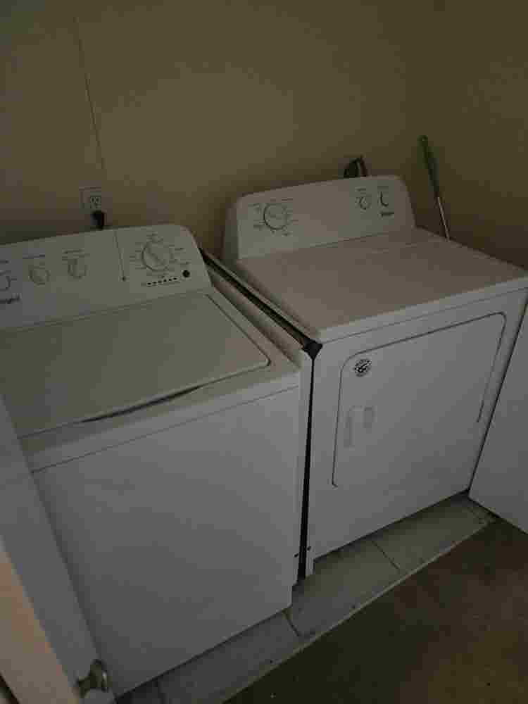 Looking for a roommate