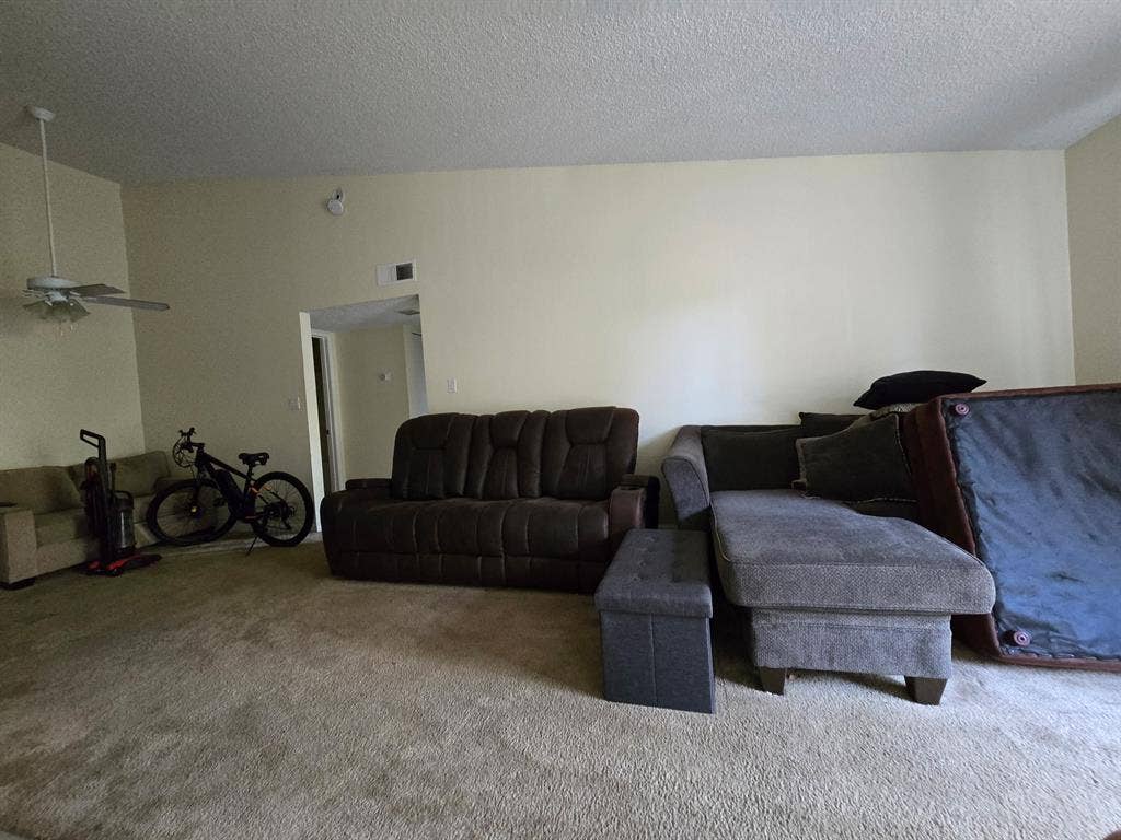 Looking for a roommate