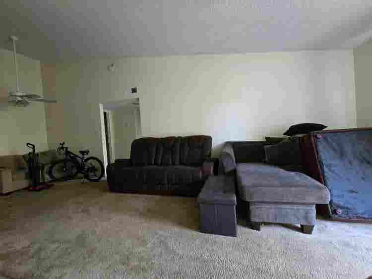 Looking for a roommate
