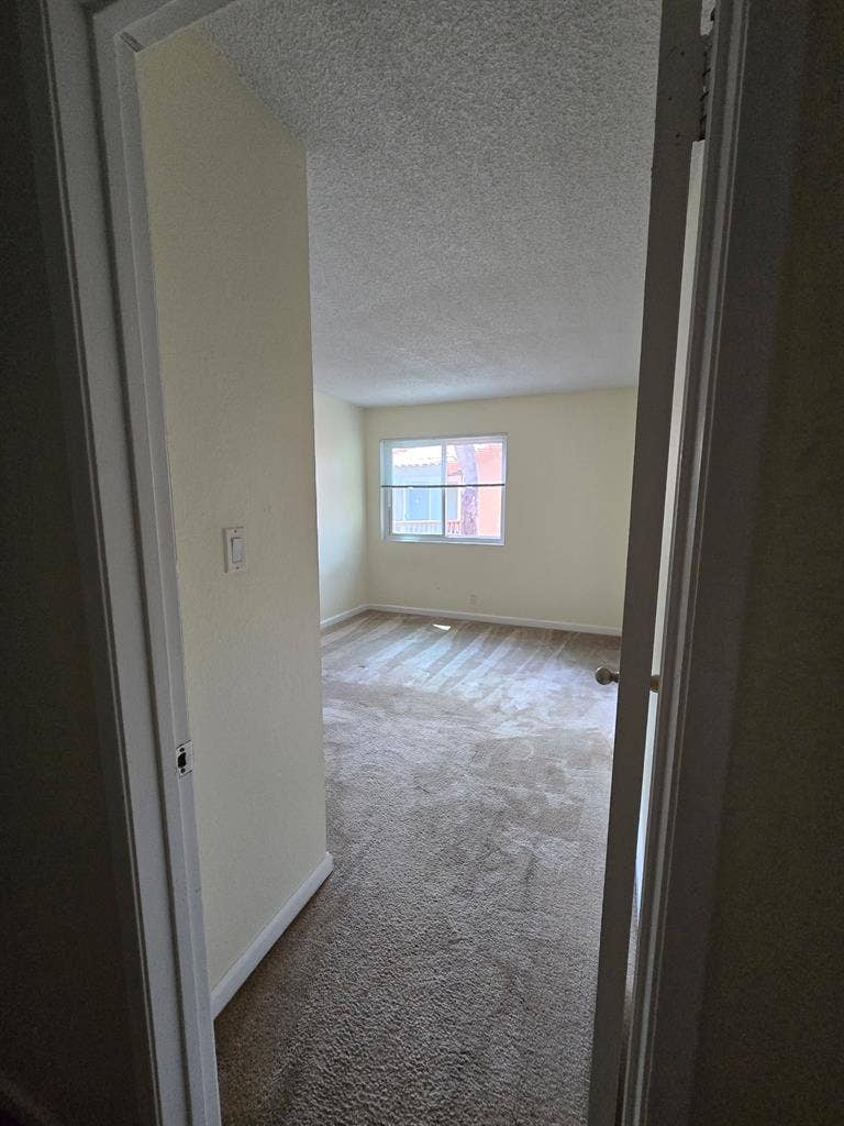 Looking for a roommate