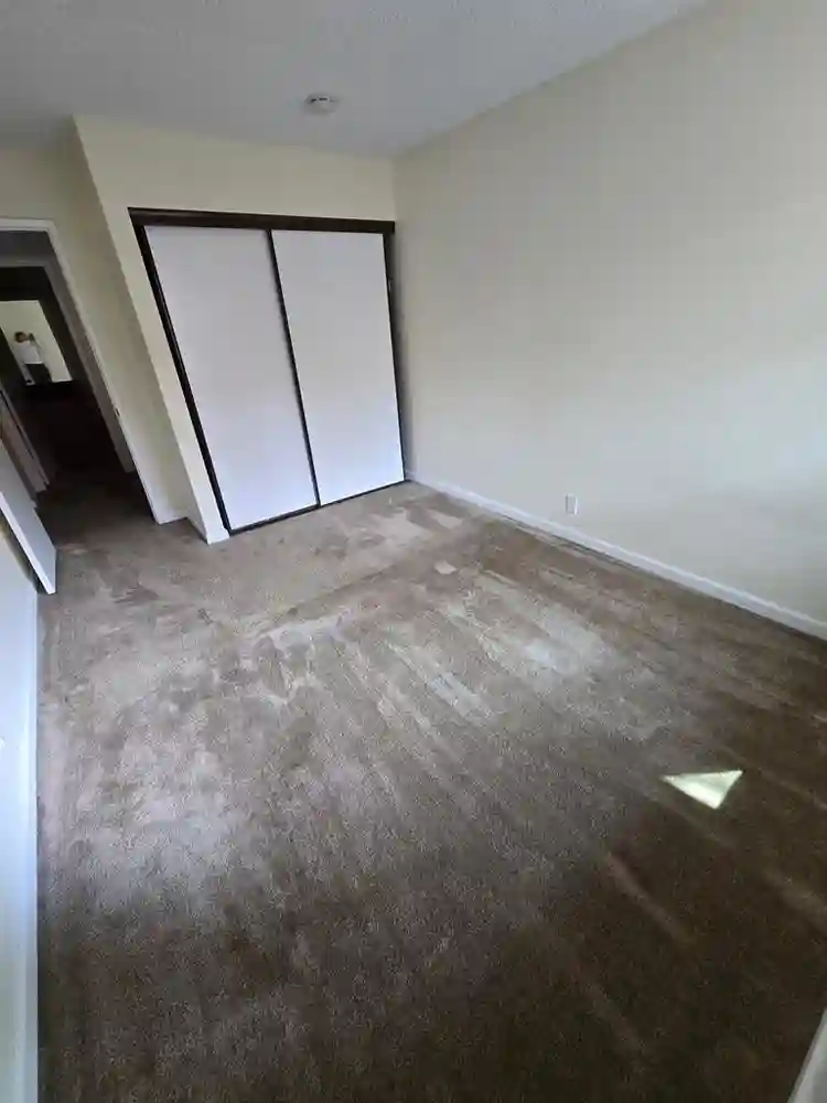 Looking for a roommate