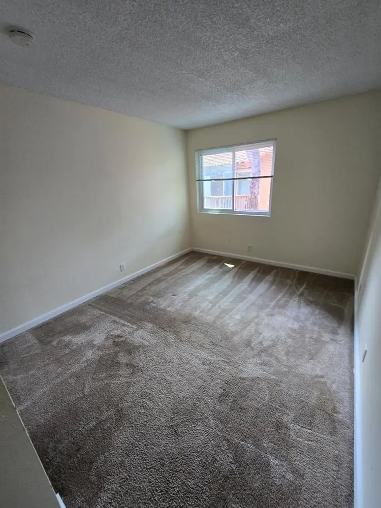 Looking for a roommate