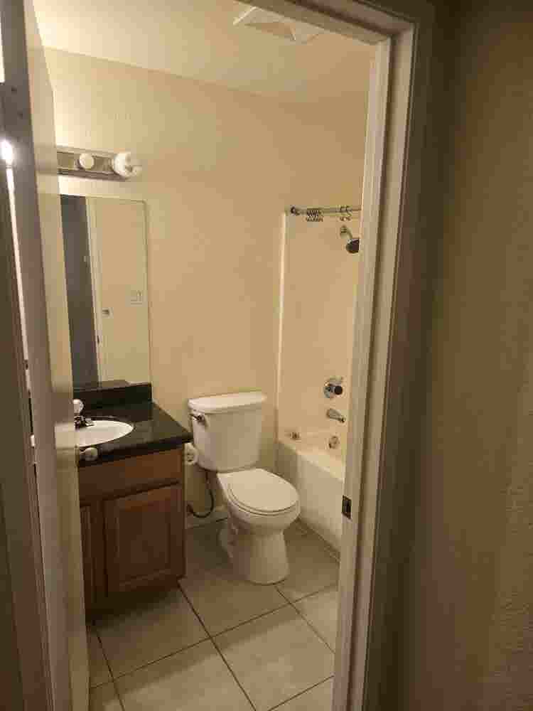 Looking for a roommate