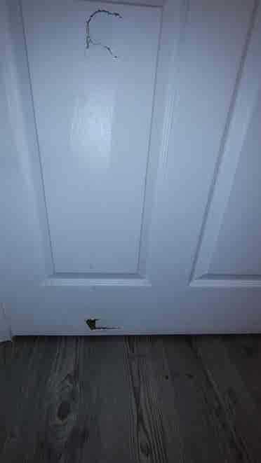 Master bedroom available downtown