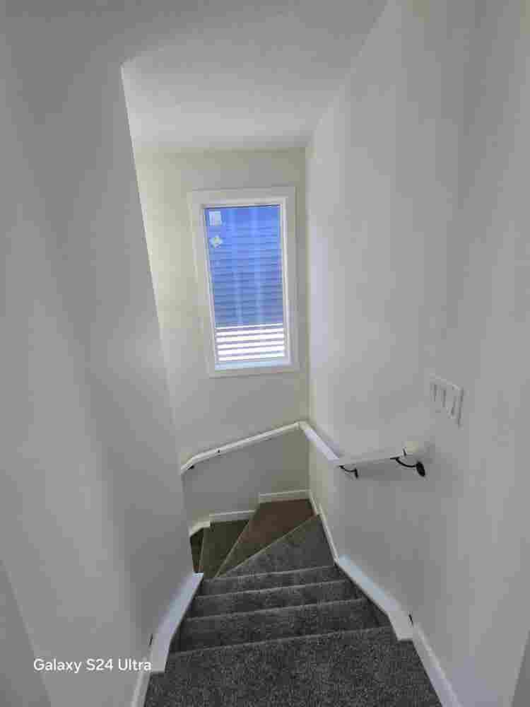 Brand New 4-Bedroom + Bonus Room