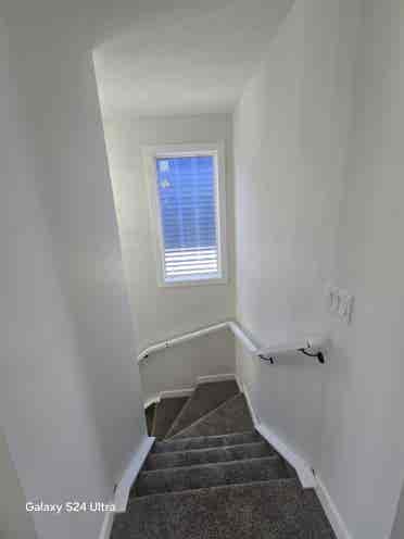 Brand New 4-Bedroom + Bonus Room