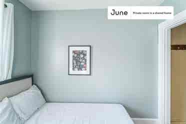 6 BR in Boston