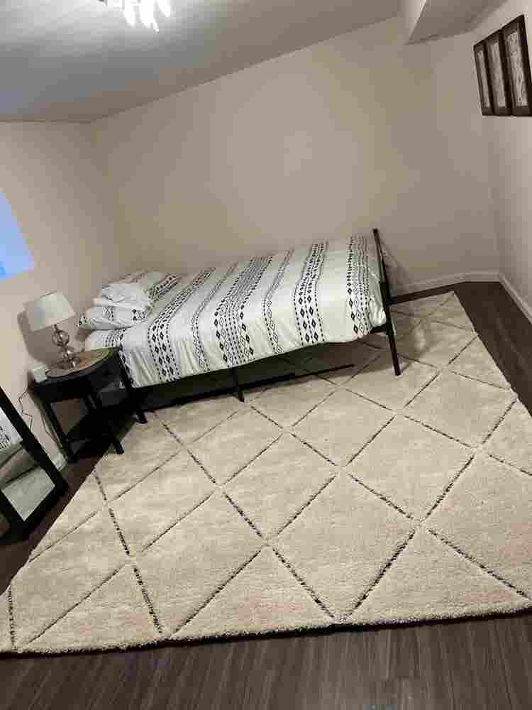 Gonna Go Fast Fully Furnished House