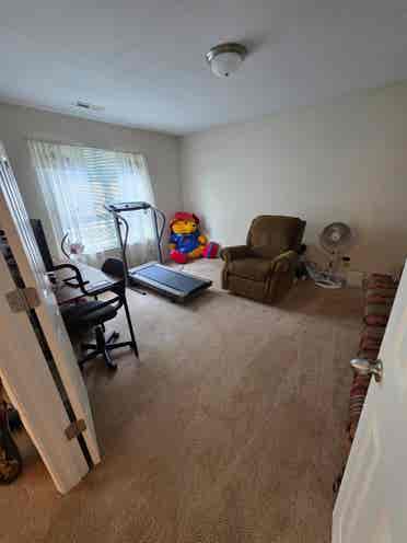 Roommate wanted