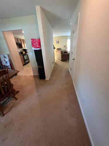 Roommate wanted